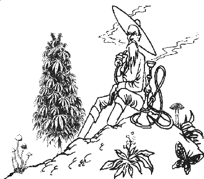 Kulkuri Koponen